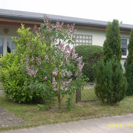 Ferienhaus Am Neuklostersee Zewnętrze zdjęcie