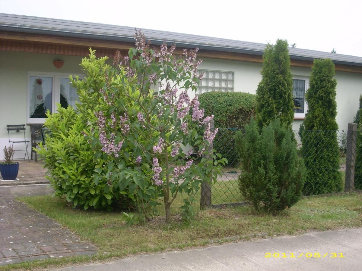 Ferienhaus Am Neuklostersee Zewnętrze zdjęcie