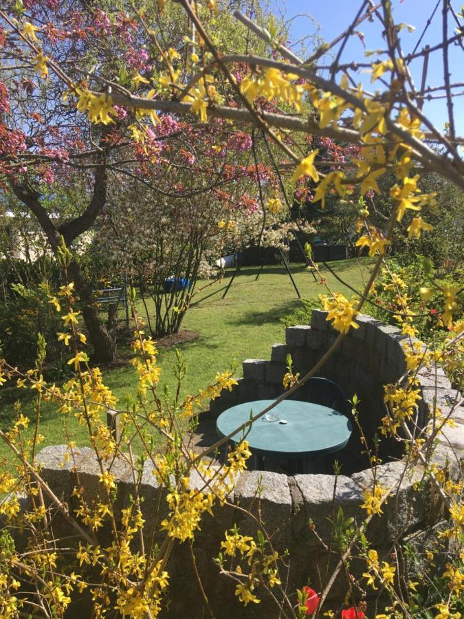 Ferienhaus Am Neuklostersee Zewnętrze zdjęcie