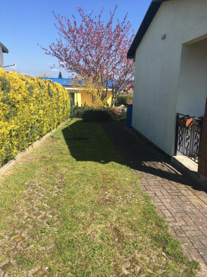 Ferienhaus Am Neuklostersee Zewnętrze zdjęcie